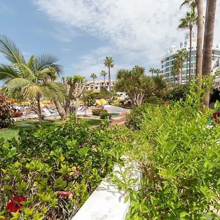 Apartment Park Santiago Iv 170 - Studio Playa de las Americas (Tenerife)